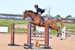 Foxhunter and 1.20m Open portfolio