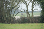PtP 100324 171