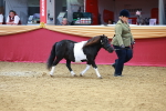 SBM_04194