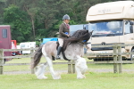 SBM_17698