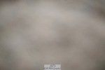 240611A-163625-00251