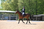 WJ6_8533