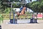 BPP_3496
