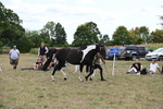 WJ6_5638