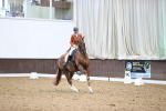 SBM_011409