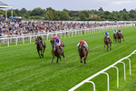 210826-Race 2-Al Nayyir-0136