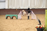 SBM_001131