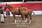 JAC_5151