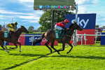 310526-Race 6-Mountain Road-9301