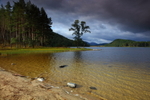 Loch Pityoulish near Aviemore.