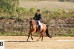 SBM_009927