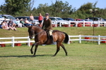 3E7A5898