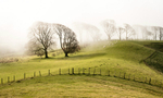 0700 Linley Hill