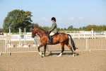 SBM_02237