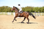 SBM_002806