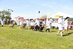 SBM_08304