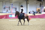 SBM_10261