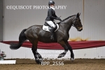 BPP_2556