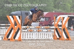 BPP_5524