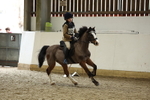 AJG_2954