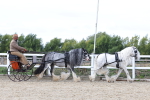 SBM_001153