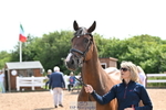 Trot Up 3pm to 4pm portfolio