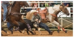 Rodeo Portfolio - Steer Wrestling 02