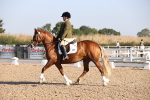 SBM_01649