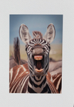 007 Zebra Smile