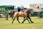 SBM_05562