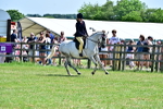 SBM_15373