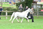 SBM_61027