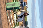 260908-191439-01048