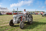 Guernsey Agricultural Show 2021-285
