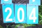 230923A-151514-03236