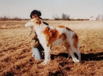 Brother Mihail