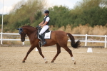 SBM_010611