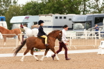 SBM_01061