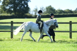 SBM_36771