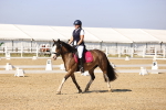 SBM_002660