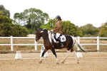 SBM_006736