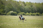BVHT 140517  NXC -257