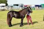 SBM_00903