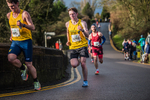 Ribble-478