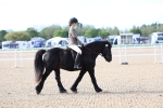 SBM_16745