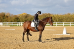 SBM_002679