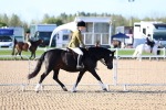 SBM_08723