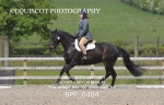 BPP_6404