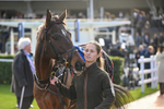 251025-Race 4-Watchful Protector-8751