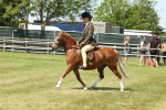 SBM_06756